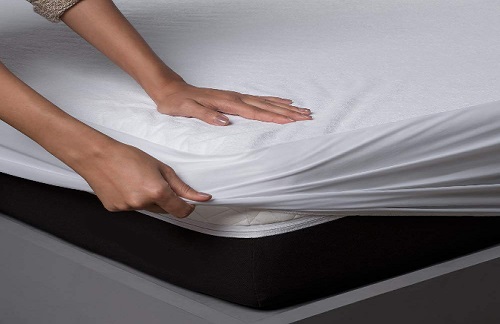 best mattress protector in india